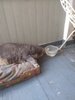 IMG_20200623_185254326.jpg