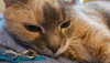 20200815_081435.jpg