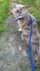 Screenshot_20200918-130559_Video Player.jpg