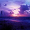 VioletDawn