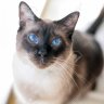 CateCaroline