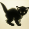 Licorice