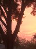 iOS Image - 2781551107.jpg