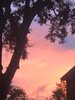 iOS Image - 59056526.jpg