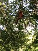 IMG_0299.jpeg