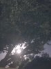 IMG_0238.jpeg