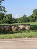 IMG_0228.jpeg