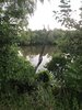 IMG_0732.jpeg