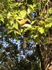IMG_0741.jpeg