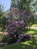 IMG_0639.jpeg