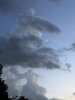 IMG_0782.jpeg