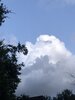 IMG_0784.jpeg