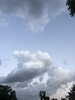 IMG_0790.jpeg