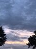 IMG_0831.jpeg