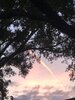 IMG_1052.jpeg