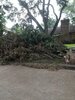 IMG_1284.jpeg