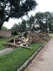 IMG_1281.jpeg