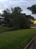 IMG_1259.jpeg