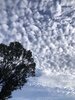 IMG_1304.jpeg