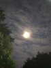 IMG_1613.jpeg