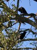 IMG_2672.jpeg