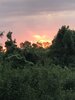 IMG_2590.jpeg