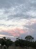 IMG_2586.jpeg