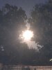 IMG_3031.jpeg