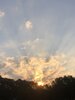 IMG_3009.jpeg