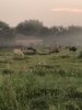 IMG_3163.jpeg