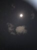 IMG_3238.jpeg