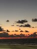 IMG_3287.jpeg