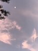 IMG_3605.jpeg