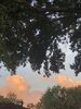 IMG_3612.jpeg