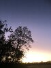 IMG_3666.jpeg