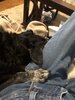 IMG_3932.jpeg