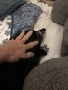 IMG_4180.jpeg