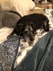 IMG_4172.jpeg