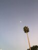 IMG_4750.jpeg