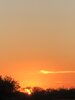 IMG_4787.jpeg