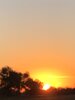 IMG_4790.jpeg