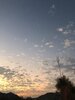IMG_5529.jpeg
