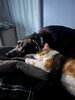IMG_5511.jpeg