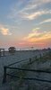 beach (2).jpg