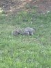 IMG_0301.jpeg