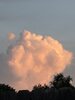 IMG_2796.jpeg