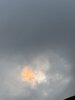 IMG_2794.jpeg