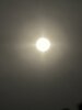 IMG_2775.jpeg