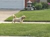 IMG_0540.jpeg