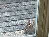 IMG_0872.jpeg